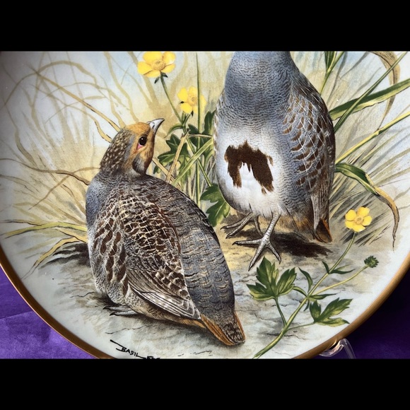 Gamebirds of the World Franklin Porcelain Basil Ede COMMON PARTRIDGE Deco Plate - Picture 4 of 9